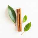 Essential Oxygen BR Certified Organic Brushing Rinse, All Natural Mouthwash for Whiter Teeth, Fresher Breath, and Happier Gums, Alcohol-Free Oral Care, Cinnamint, 2 Piece Set, 16 Oz