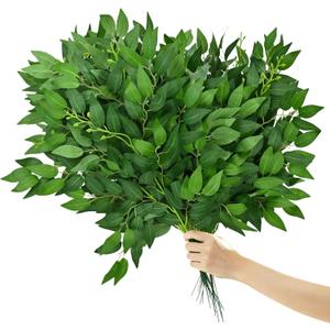 26Pcs Italian Ruscus Greenery Stems,Artificial Silk Greenery Leaves,Bendable Faux Hanging Plants Spray for DIY Wedding Arch Bouquet Table Centerpieces Vase Filler and Home Indoor Decor (26)