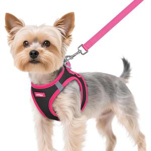 rabbitgoo Dog Harness Small Sized and Leash Set, Step-in Breathable Pet Harness, Soft Walking Reflective Puppy Vest for Small Dogs, Black & Rose Red, XS