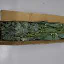 Winlyn 20 Pcs Mixed Artificial Oval Eucalyptus Leaves Bulk with White Seeds Stems and Spray for Vase Floral Wreath Bouquets Wedding Greenery Decoration