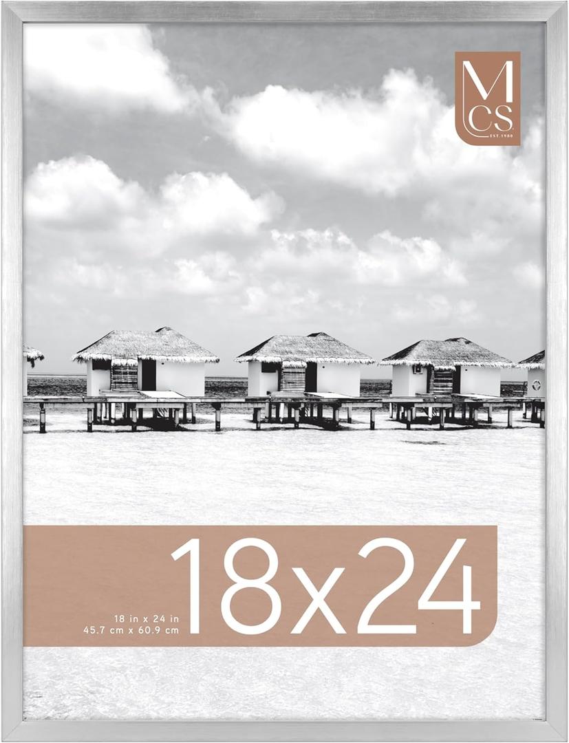 MCS Foundation 18x24 Poster Frame Traditional Silver, Vertical & Horizontal Wall Hanging Large Picture Frame for Photos, Posters & Art Prints (1-Pack)