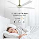 WINGBO 60 Inch Ceiling Fan without Light - 5 Carved Solid Wood Blades, 6-Speed Reversible DC Motor, Noiseless Remote Control Ceiling Fan No Light for Bedroom Living Room Kitchen, Gold and White
