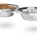 Acrylic Elevated Cat and Small Dog Bowl Stand  Raised Indoor Cat Food and Water Set with 2 Stainless Steel Dishes  Anti Vomit Lifted Pet Feeding Bowls