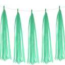 PATIKIL Tassel Garland Banner, 20Pcs Tissue Paper Tassels Party Decorations DIY Kits for Wedding Birthday Bridal Shower, Mint Green
