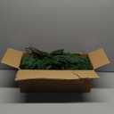 Hananona 4 Pcs 6 Ft Artificial Norfolk Pine Garlands, Real Touch Winter Pine Garland, Green Artificial Greenery Garland for Table, Mantle, Wall, Indoor, Outdoor Christmas Decorations (4, 6 FT)