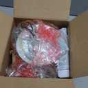 Westinghouse 6660700 Interior Ceiling Fixture 60 Watts, White Finish with Glass Globe