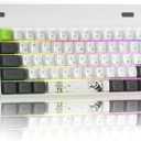 60% Mechanical Gaming Keyboard, Tri-Mode BT5.0/2.4GHz/USB-C, Wireless/Wired 19 RGB Backlit Compact 61 Key Mini Gamer Keyboard (Panda)