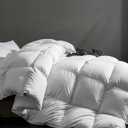Feather Down Comforter Queen Size, All-Season Duvet Insert Feather and Down Cotton Fabric Fluffy Medium Warm Quilt Comforter with Corner Tabs (White)