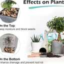 GASPRO 15lb Natural River Rocks Decorative Rocks for Plants and Garden Landscaping, Polished River Stone for Outdoor Decor, 1-1 3/4 Inch