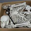 NEROSUN 5.4FT Halloween Skeletons Decoration, Posable Life Full Size Skeleton with Dog Skeleton, Realistic Plastic Human Bones for Halloween Props Haunted House Graveyard Party Decor