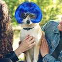 BESPORTBLE Funny Dog Cat Cosplay Wig, Pet Headwear Apparel, Trimmable Pet Wig for Small Medium Large Dogs Cosplay Accessories for Halloween Christmas Dress up Parties, Blue