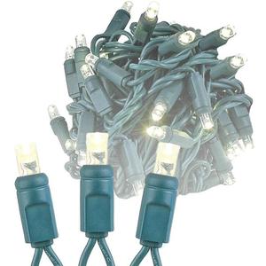 Novelty Lights 50 Light LED Twinkle Christmas LED Mini Light Set, Outdoor Fairy Wedding String Lights, Warm White, Green Wire, 25 Feet