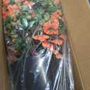 29" Artificial Hanging Flowers Potted Plants - 2 Set for Outdoor Fall Decoration, Faux Petunia with Fake Eucalyptus for Outside Front Door Garden Farmhouse Home Thanksgiving Autumn Decor (Orange)