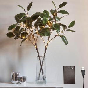 LITBLOOM Lighted Magnolia Branches 32IN 60 LED Fairy Lights with Timer, Artificial Greenery Twig Branch with Lights Battery Operated or USB Plug in for Wedding Home Spring Decoration