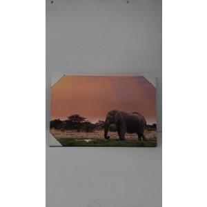 Art Elephant 24"x36"