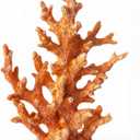Lifelike Coral Reef Sculpture Statue - Handmade Resin Ocean Decor for Aquarium, Desk, Bathroom, Shelf - Coastal Beach Nautical Theme Gift for Home & Office