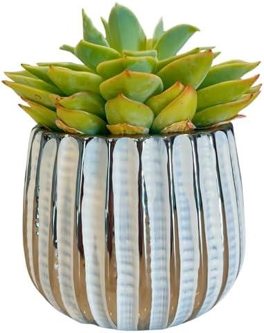 Admired by Nature 4" Ceramic Flower Planter, Ceramic Pot Planter, Indoor Ceramic Bowl, Houseplant Ceramic Pot, Decorative Planter for Indoor Plant Succulent Plant Home Décor, Lightweight, White