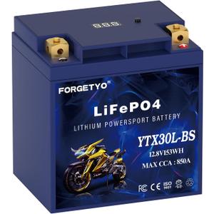 Lithium YTX30L-BS, 850A LiFePO4 Motorcycle Battery, 12V 12AH ATV, UTV, Jet Ski, 4 Wheeler, Snowmobile, Personal Watercraft, Seadoo, Polaris, Tractor,Generator and Riding Lawn Mower Battery
