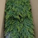 Artificial Topiary Tree Two 2.3ft Faux Bushes Potted Plants UV Resistant Artificial Cedar Trees for Outdoor Indoor Front Porch Garden (2.3 feet)