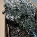 7.5ft Artificial Snow Flocked Hinged Christmas Tree with Metal Stand