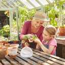 Avocado Tree Growing Kit,Avocado Seed Starter Vase,Glass Plant Pot with Avocado Stickers,Plant Indoor Grow Gardening Gifts