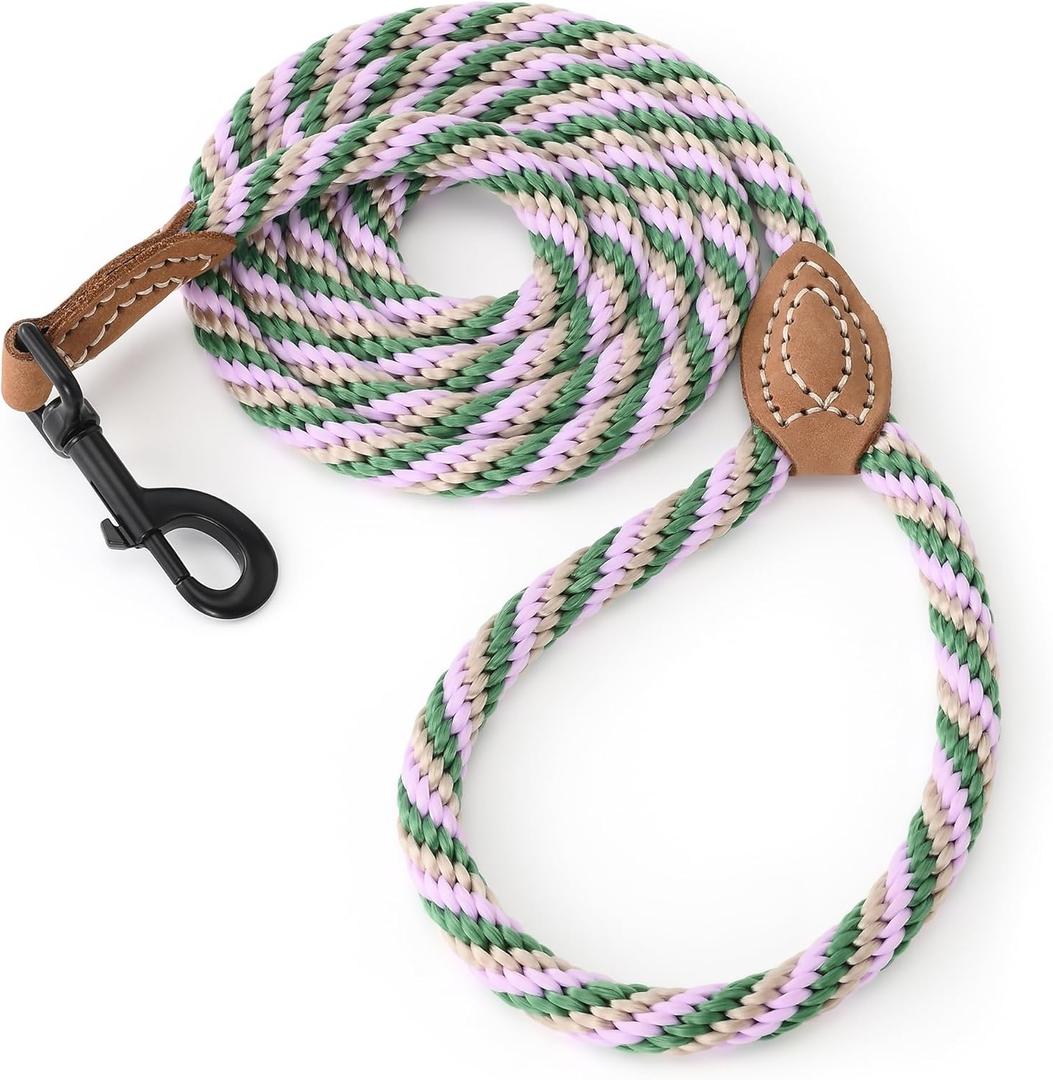 Mile High Life Dog Leash, Braided Rope Leash with Genuine Leather Tip,  Heavy Duty Leashes for Small Medium & Large Dogs Walking (Green, 48 Inch)