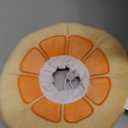 ANWA Adjustable Cat Cone Collar Soft, Cute Cat Donut Collar After Surgery, Kitten Recovery Cones to Stop Licking (Small, Orange)