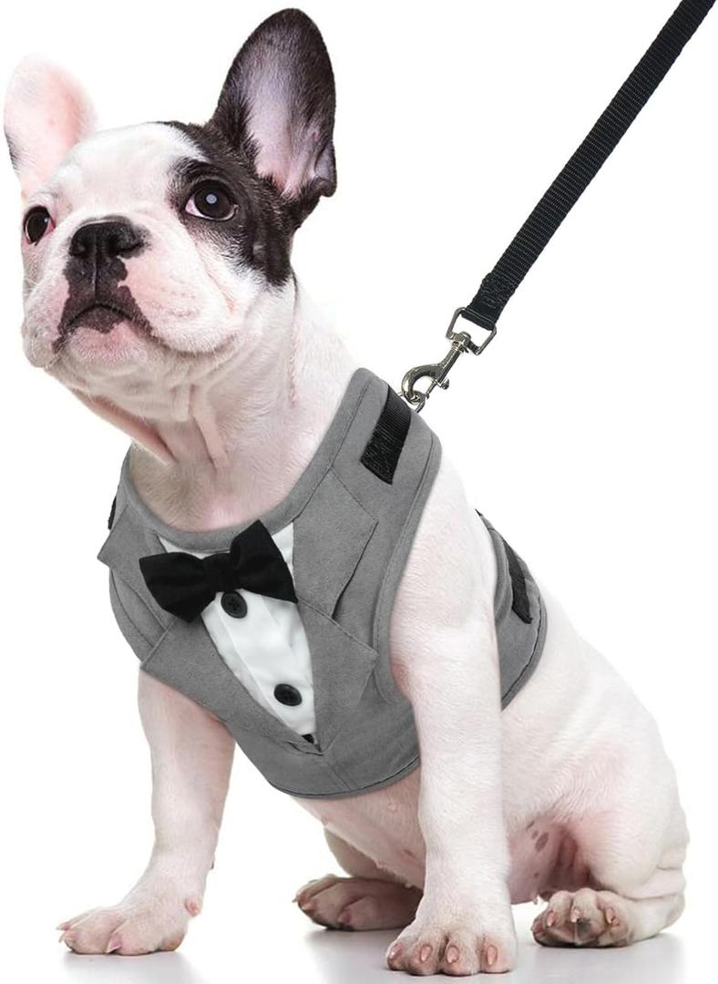 Kuoser Tuxedo Dog Harness, Adjustable No Pull for Small Medium Dogs, Wedding Suit with Bow Tie Party Costume, Gray M