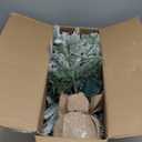 Prelit Flocked Christmas Tree, Artificial Small Christmas Tree with Led Lights, Frosted LED Xmas Tree with Snow (3FT-Lights)