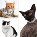 Tallew Silver Dog Chain Diamond Collar Walking Metal Chain Necklace with Secure Buckle Pet Cuban Style Collar Jewelry Accessories for Small Medium Large Dog Cats(22 Inch)