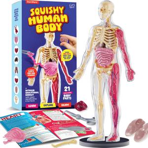 Dan&Darci Human Anatomy Squishy Body Model - Science Kits for Kids Ages 4-8 - STEM Toys for 4 5 6 7 8 Year Old Boy Birthday Gift - Learning Educational Toys for Ages 5-7 Boys Gifts - Skeleton Parts