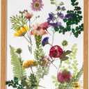 Twodays Birth Flower Mother's Day Craft Kit for Mom/Grandma - 33 Real Pressed Flowers Art DIY Set, With 8x10 Double Glass Frame & Tools, Unique Handmade Birthday Christmas Gift from Daughter (Natural)