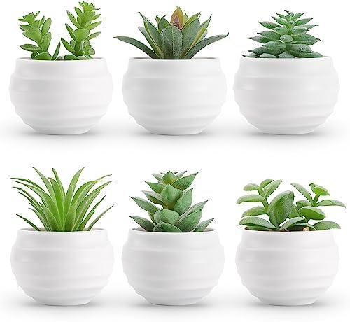 Der Rose Set of 6 Succulents Plants Artificial in Pots Small Fake Plants for Bedroom Aesthetic Living Room Shelf Bathroom Decor Office Desk Accessories