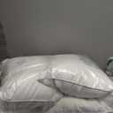 Canadian Luxury Goose Down Pillow King Size - 1050 Fill Power, 100% Cotton with Teflon Shell- Ultra Comfort Sleep Pillows - Bed Pillows for Back, Stomach, Side Sleeper(White,King(Pack of 2))