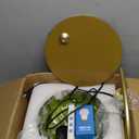 Gold Floor Lamp for Living Room,Bedroom,Mid Century Modern Standing Lamp with Remote,Dimmable Brass Tall Lamp Vintage Retro Green Glass Arc Floor Flower Floor Light Boho Bohemian