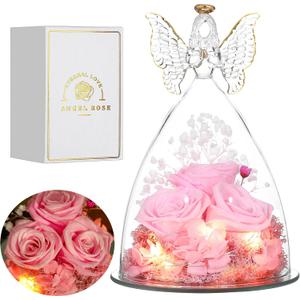 Mothers Day Mom Gifts for Women Preserved Flowers in Glass Angel Forever Flowers for Delivery Prime Eternal Roses Gifts for Grandma, Peach Pink