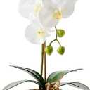 Orchids Artificial Flowers, 15" Faux Orchid in Gold Flower Pot Real Touch Flowers in Pot Large Flower Arrangements Artificial Centerpiece for Home Living Room Bathroom Kitchen Decoration (White)