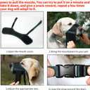 HEELE Dog Muzzle,Soft Nylon Muzzle Anti Biting Barking Chewing,Air Mesh Breathable Drinkable Adjustable Loop Pets Muzzle for Small Medium Large Dogs (Blackish Green,L)
