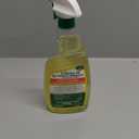 Citrus II Hospital Germicidal Deodorizing Cleaner, Fresh Citrus, 22-Fluid Ounce