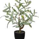 Briful Small Faux Olive Tree 18.9" Artificial Olive Plant with Black Pot Decorative Fake Olive Tree for Home Office Bathroom Table Farmhouse Dcor (1ft 3in)