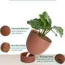 vensovo Dark Terracotta Self Watering Plant Pot - 2 PCS 6 Inch & 8 Inch Terra Cotta Plant Pot with Drainage Hole and Saucer, Small & Large Clay Flower Pot with Tray, Planter for Indoor Outdoor, 6.5 inches