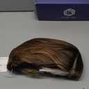 HAIRCUBE Chestnut Brown Synthetic Lace Front Wig, 10 Inch Layered Glueless Bob Wig, Natural Density Hairline Wigs for Women Daily Use