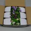 Der Rose 6 Pack Small Fake Plants Mini Artificial Faux Plants with Flowers for Home Room Farmhouse Bathroom Decor Indoor