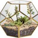 NCYP Glass Terrarium for Small Cactus, Succulents - Gold Geometric Planter Pot, Home Office Tabletop Miniature Garden Decor, 6.89 x 6.89 x 5.9 Inches, Handmade (No Plants, No Door)