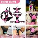 No Pull Dog Harness Adjustable Collar & Leash Set - Dog Halter Harnesses Collapsible Bowls & Poop Bag Dispenser Muzzle ID Tags Toys Fits Small Medium Large Dogs (Pink-L)