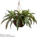 Pure Garden Faux Boston Fern – Hanging Natural and Lifelike Artificial Arrangement and Imitation Greenery with Basket for Home or Office Décor