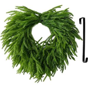 24 Inch Heart Shaped Norfolk Pine Wreath with 15 Inch Black Hanger