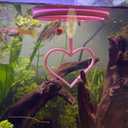 Floating Heart Betta Training Ring, Heart Active Betta Training Floating Ring, Floating Feeder, Betta Loops for Aquarium Decor, Pink, 3.8in x 3.7in (Pink, Single)