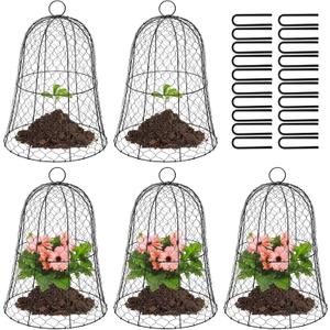 Coloch 5 Pack Garden Chicken Wire Cloche, 16x 13 Inches Black Dome Plant Protector Cover Strong Metal Garden Cloches Protecting Plants and Seedling from Animals