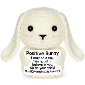 Eterfordista Mini Mothers Day Birthday Gifts for Mom from Daughter Son Inspirational Gifts for Women Men Handmade Positive Crochet Animals Bunny Friends Coworkers Family Motivational Cheer Up Gift